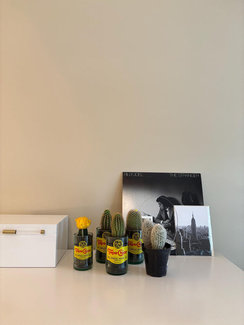 Topo Chico Flower Vase
